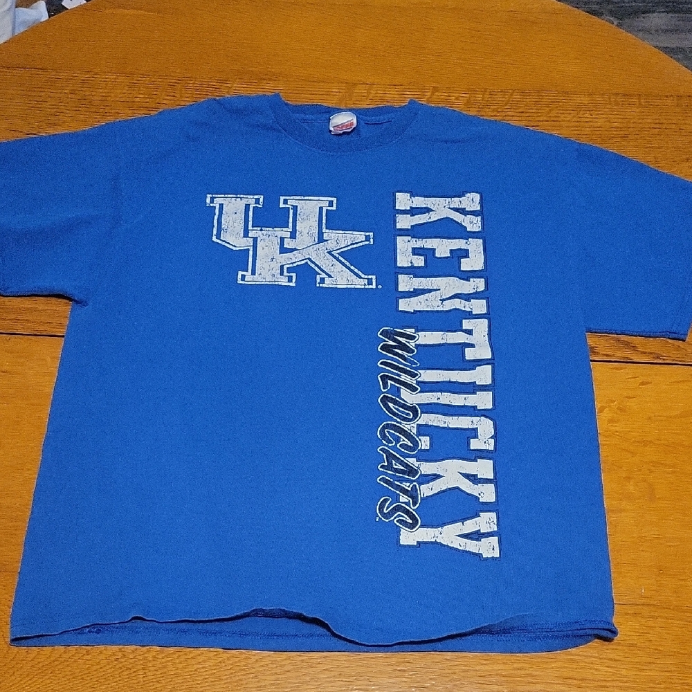 Soffe Blue Wildcats Graphic Tee